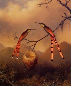 Martin Johnson Heade : Two Hummingbirds with Their Young